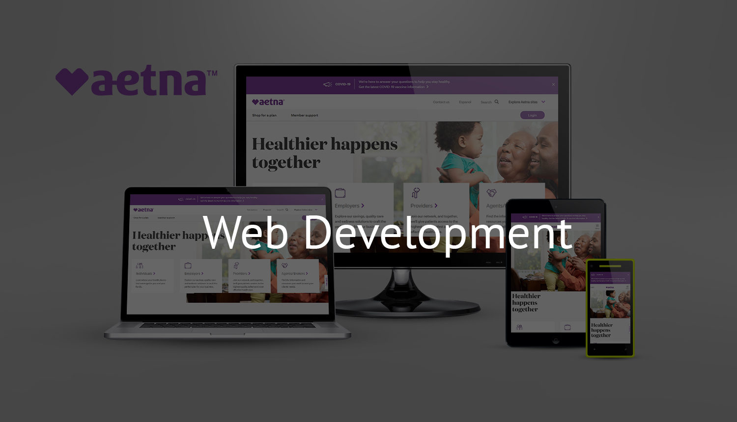 Website-Development-cat
